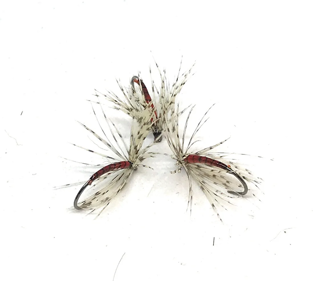 Red & Partridge Curved  Wet Fly  <p> 3 artificiali.