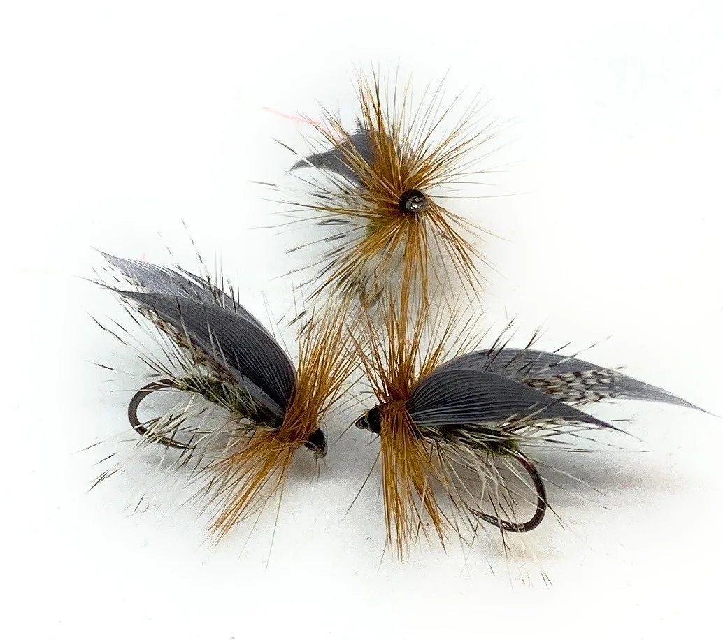 Henryville Special Traditional  Dry Fly <p> 3 artificiali.