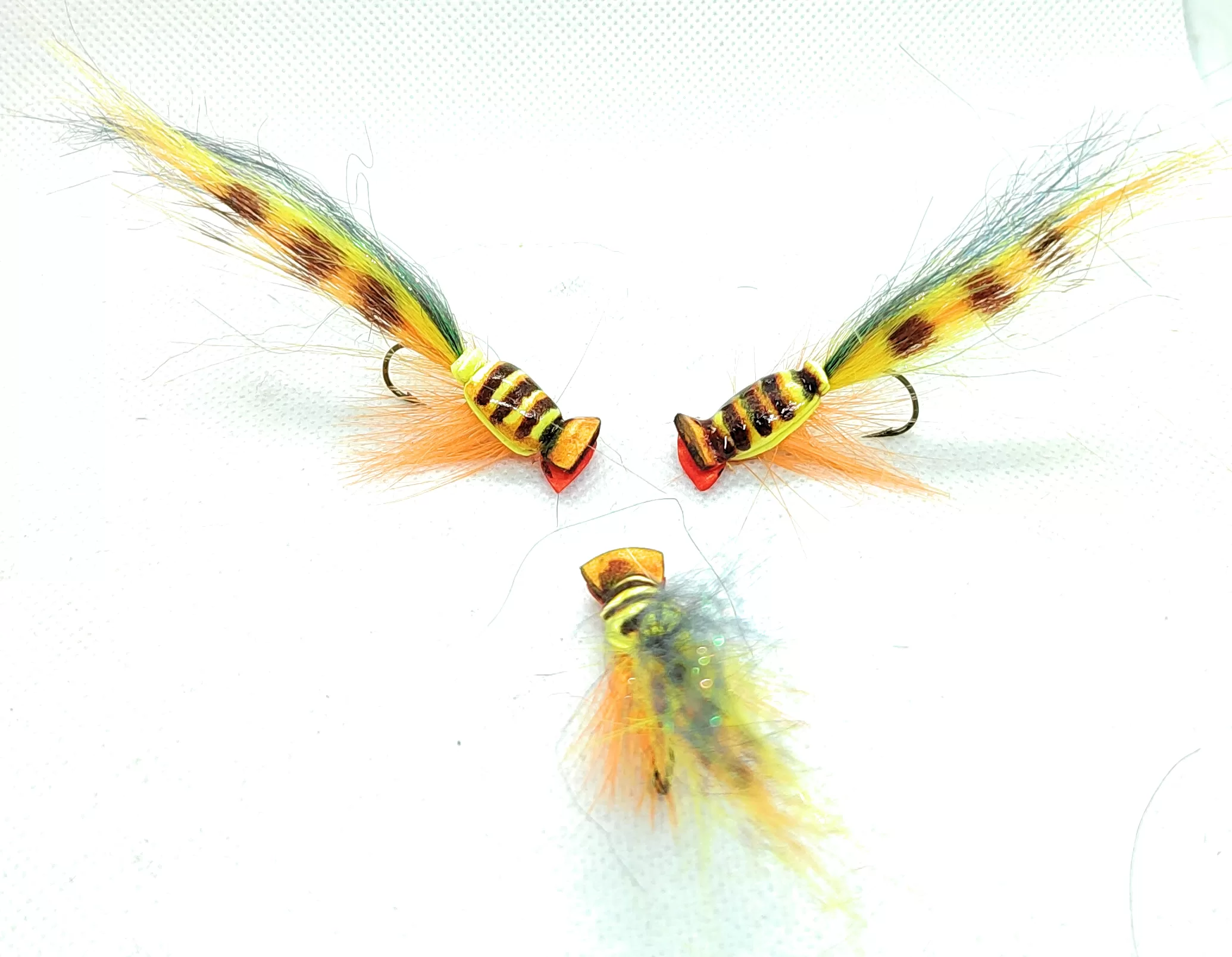 Yellow Barred Gurgler <u><b><p> 1 artificiali. </p></b></u>