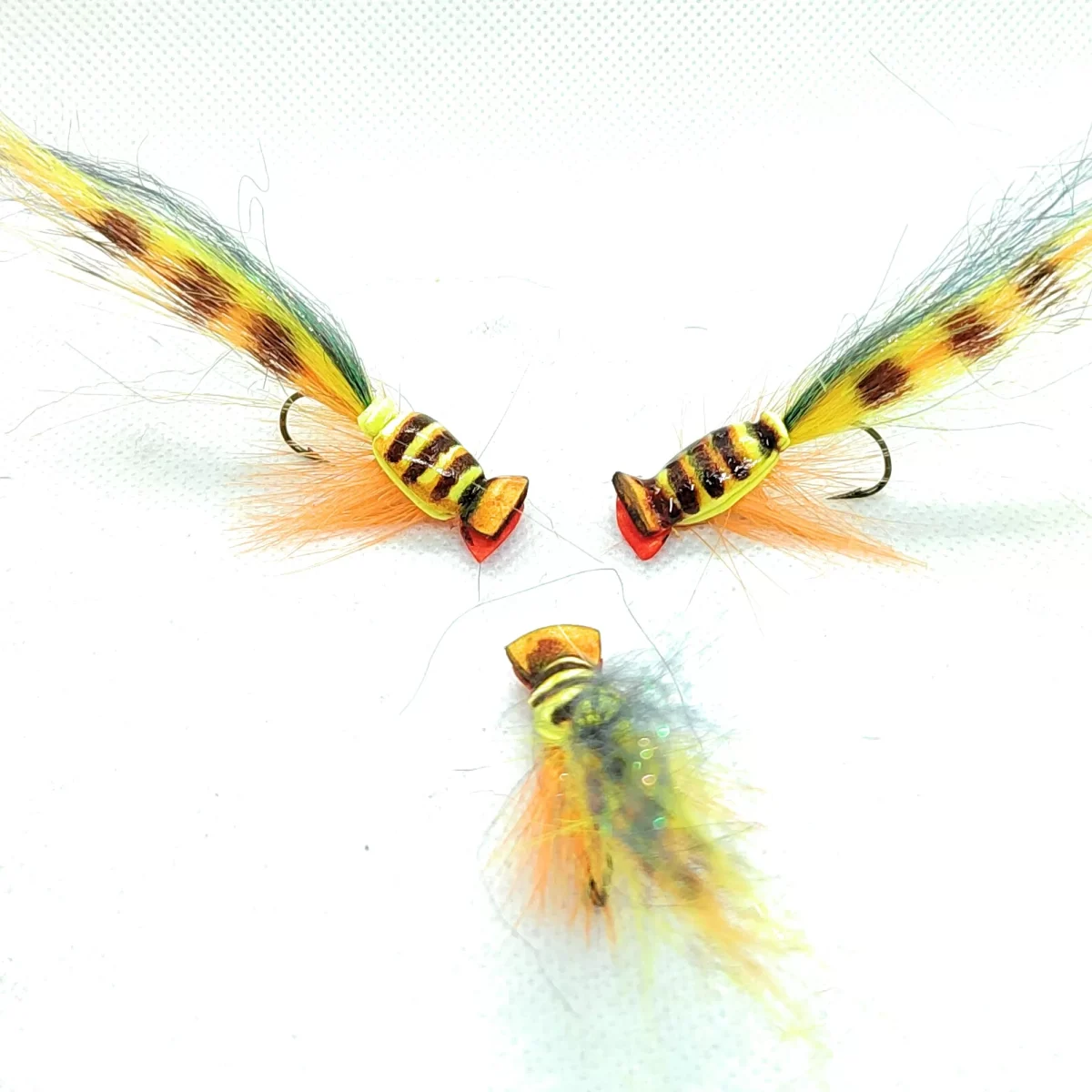 Yellow Barred Gurgler <u><b><p> 1 artificiali. </p></b></u> – featured
