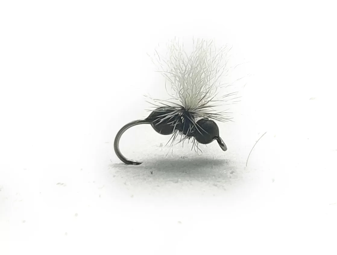 Parachute Ant Black & White Spot <p> 3 artificiali.